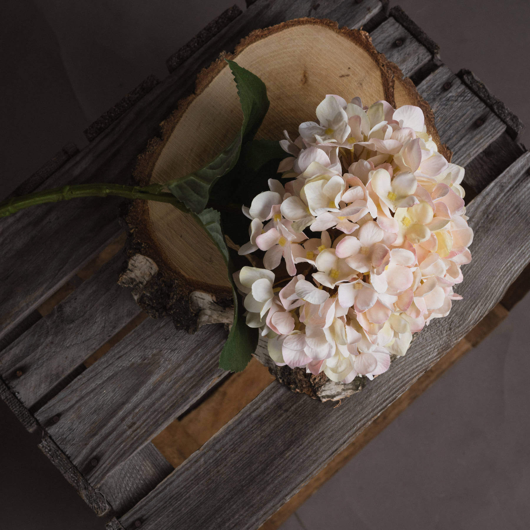 Hand-painted cream hydrangea stem with blush accents, realistic plastic floral decor for home or wedding centerpieces by Sostter at brixbailey.com