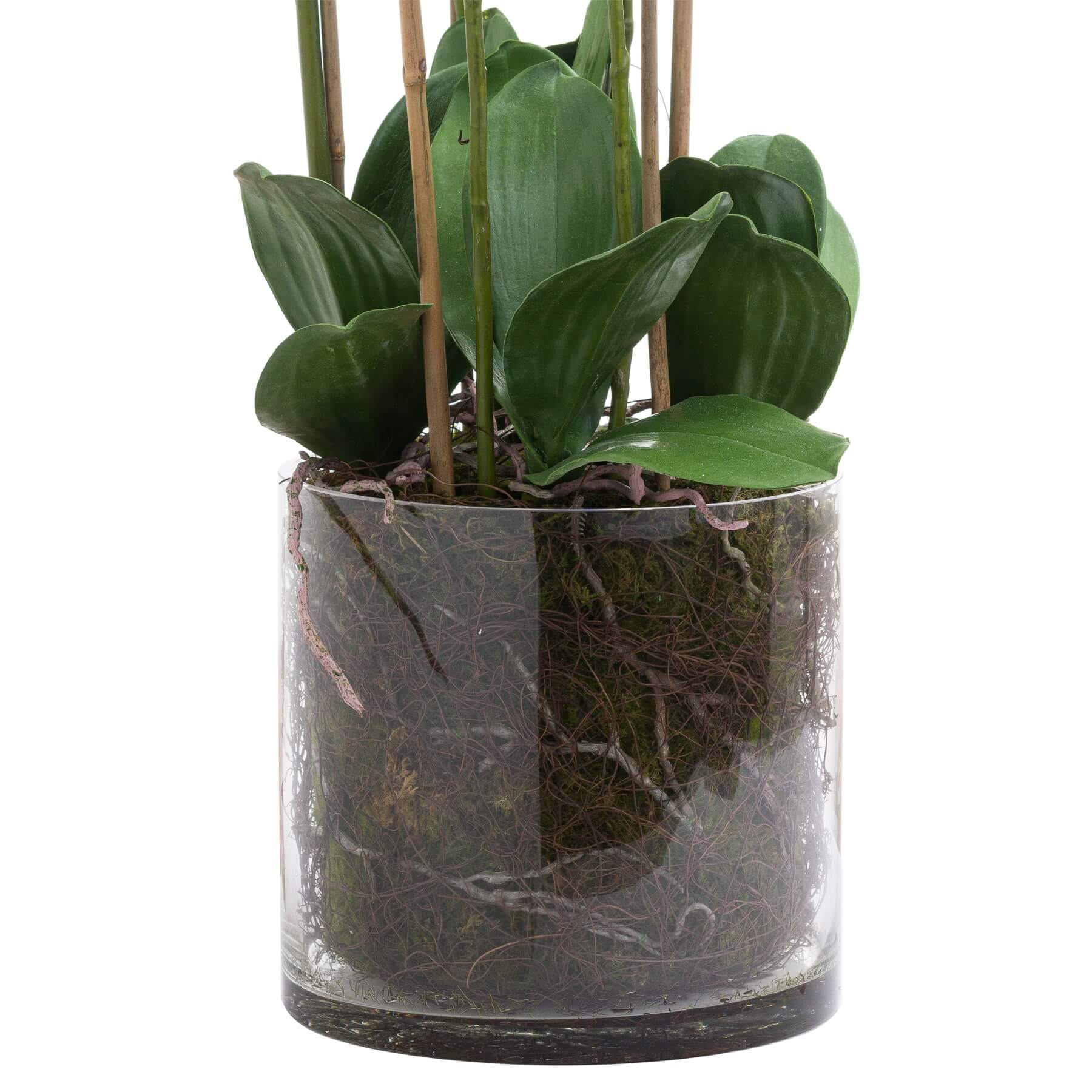 White and violet artificial orchid in glass pot, hyper-realistic plastic flowers with flexible leaves for home decor by Sostter at brixbailey.com