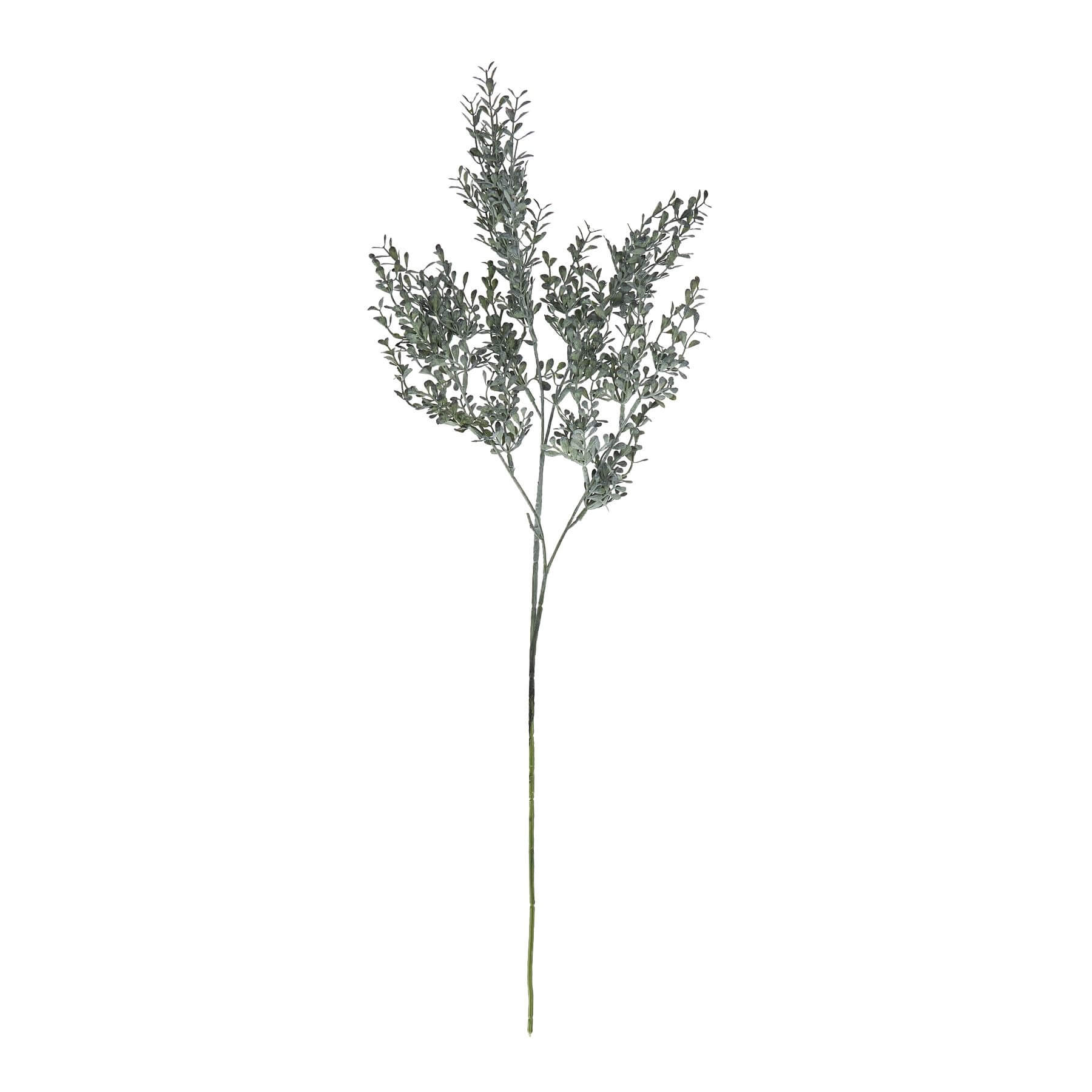 Blackened grass spray stem, 75cm tall, matte black plastic decor for modern interiors by sostter at brixbailey.com