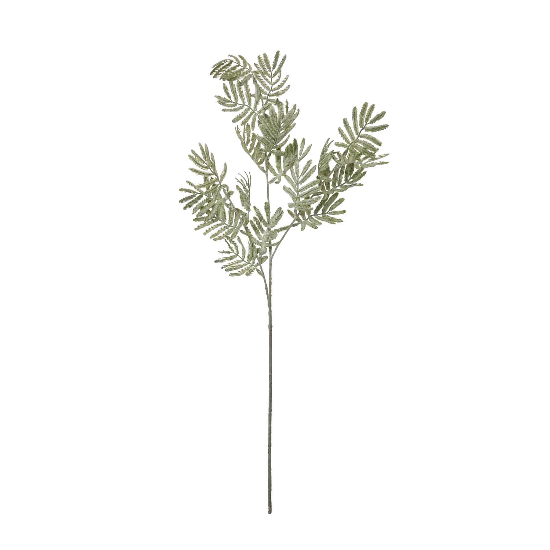 Lifelike artificial Silver Wattle Leaf stem with silvery-green hues, feathery texture, and realistic botanical details. by sostter at brixbailey.com