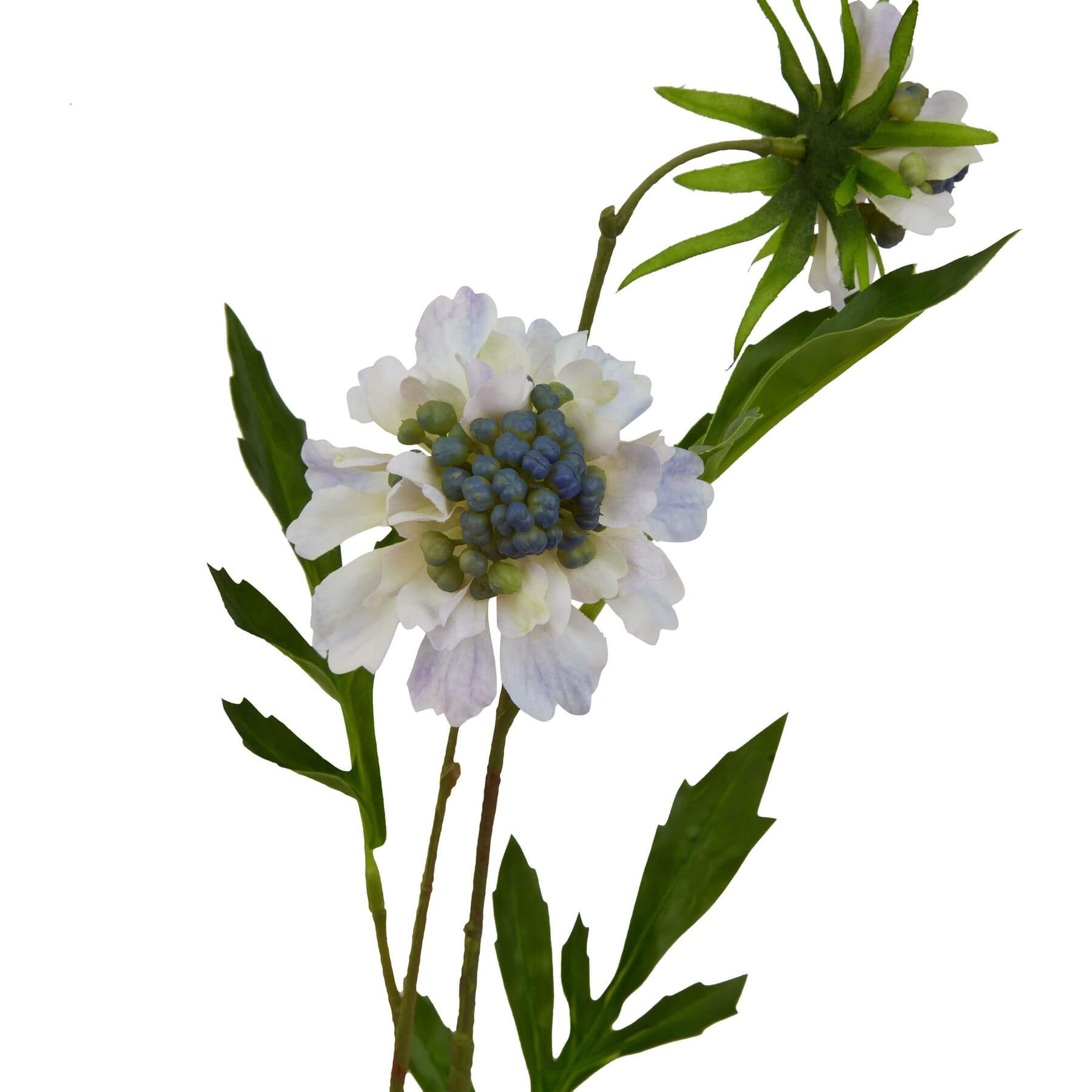 Lifelike artificial scabious stem with soft blue petals, realistic texture, and botanically accurate details for home decor by sostter at brixbailey.com