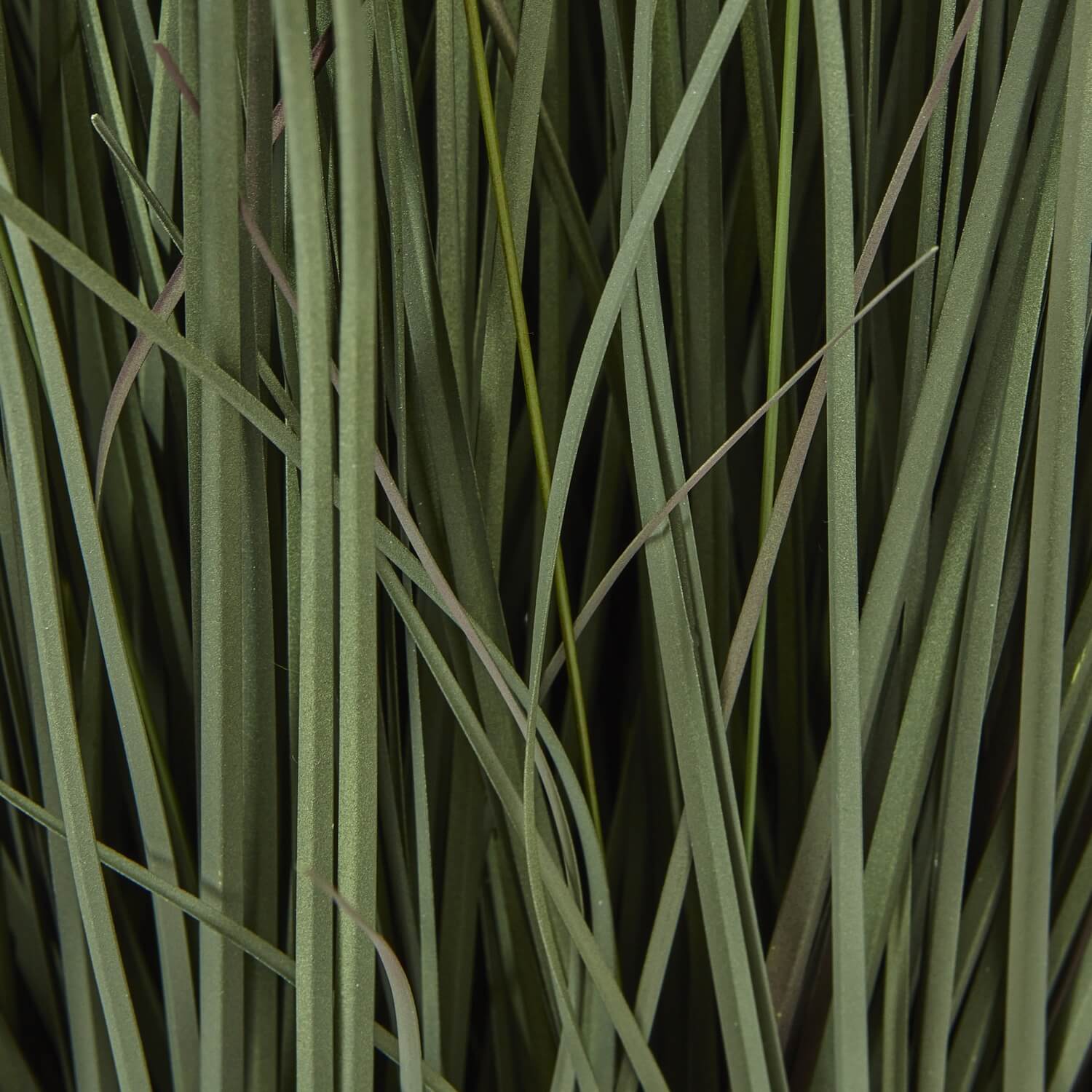 Lifelike faux Fountain Grass in natural green tones with feathery plumes, 81cm tall in sleek black pot for home decor. by Sostter at brixbailey.com