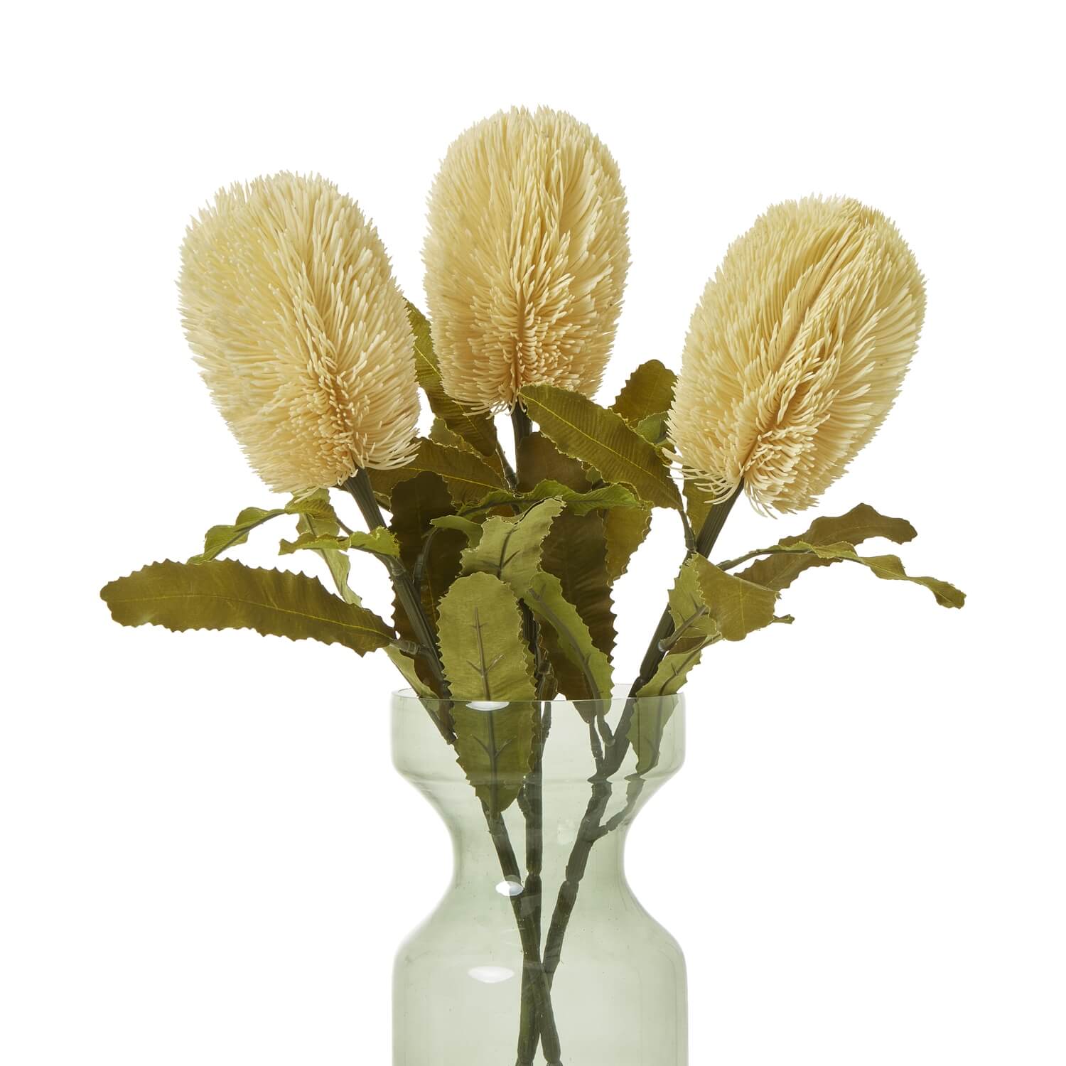 Banksia serrata faux stem with feathery cream blooms and green accents, 65cm lifelike artificial floral decor by sostter at brixbailey.com