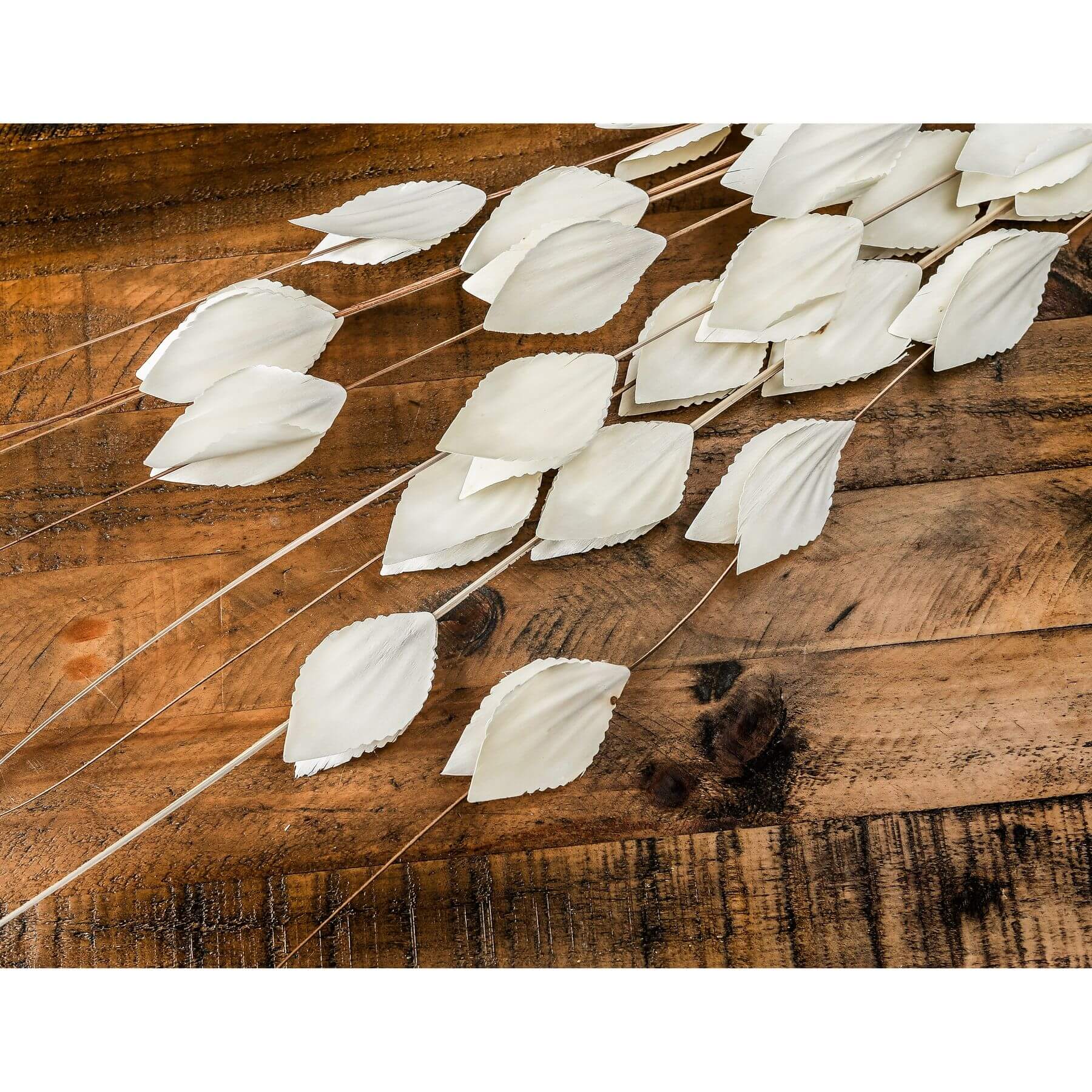 Dried Thlaspi Arvense bouquet with delicate white seed pods, perfect for modern or traditional décor.by Sostter at brixbailey.com