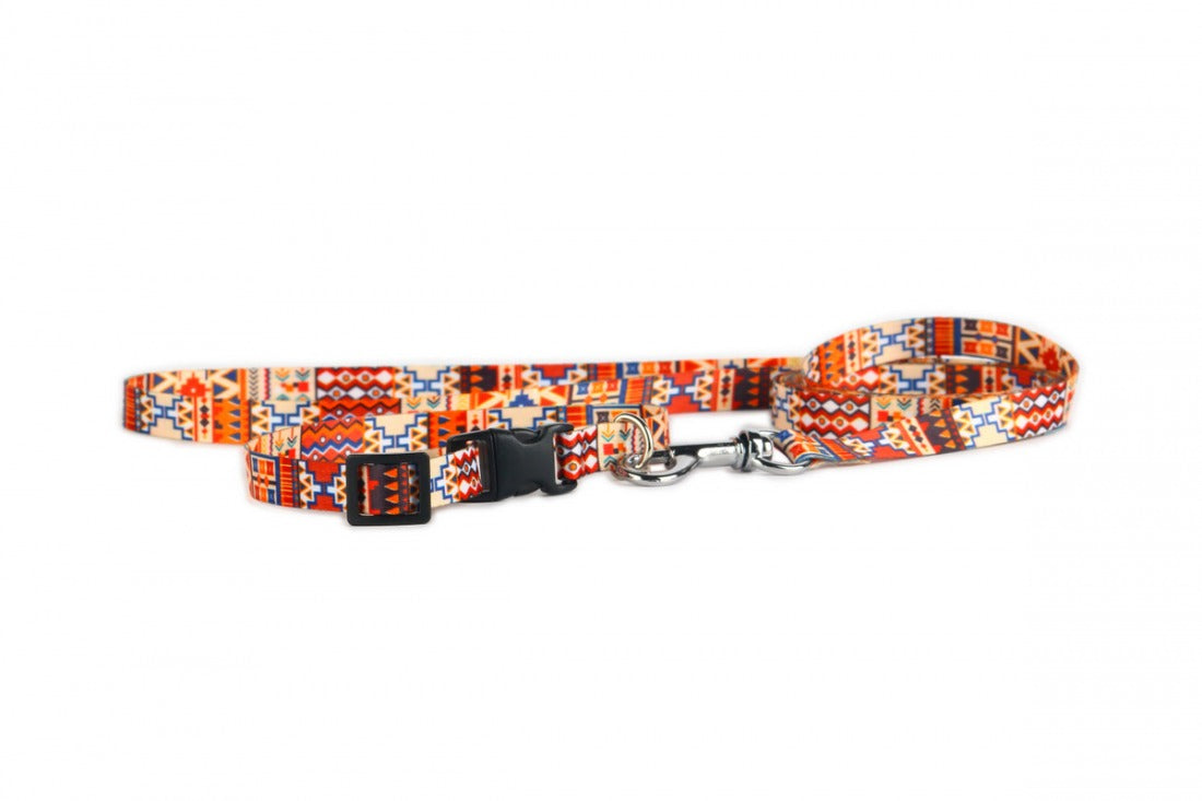 Boho Collection Dog Leash – A style that combines hippie blaze of colors with casual surfers and bohemian originality. by Matteo at www.brixbailey.com
