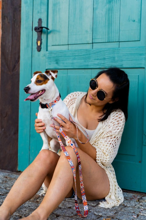Boho Collection Dog Leash – Durable, Colorful & Original Style with Super-Strong Stitching by Matteo at www.brixbailey.com