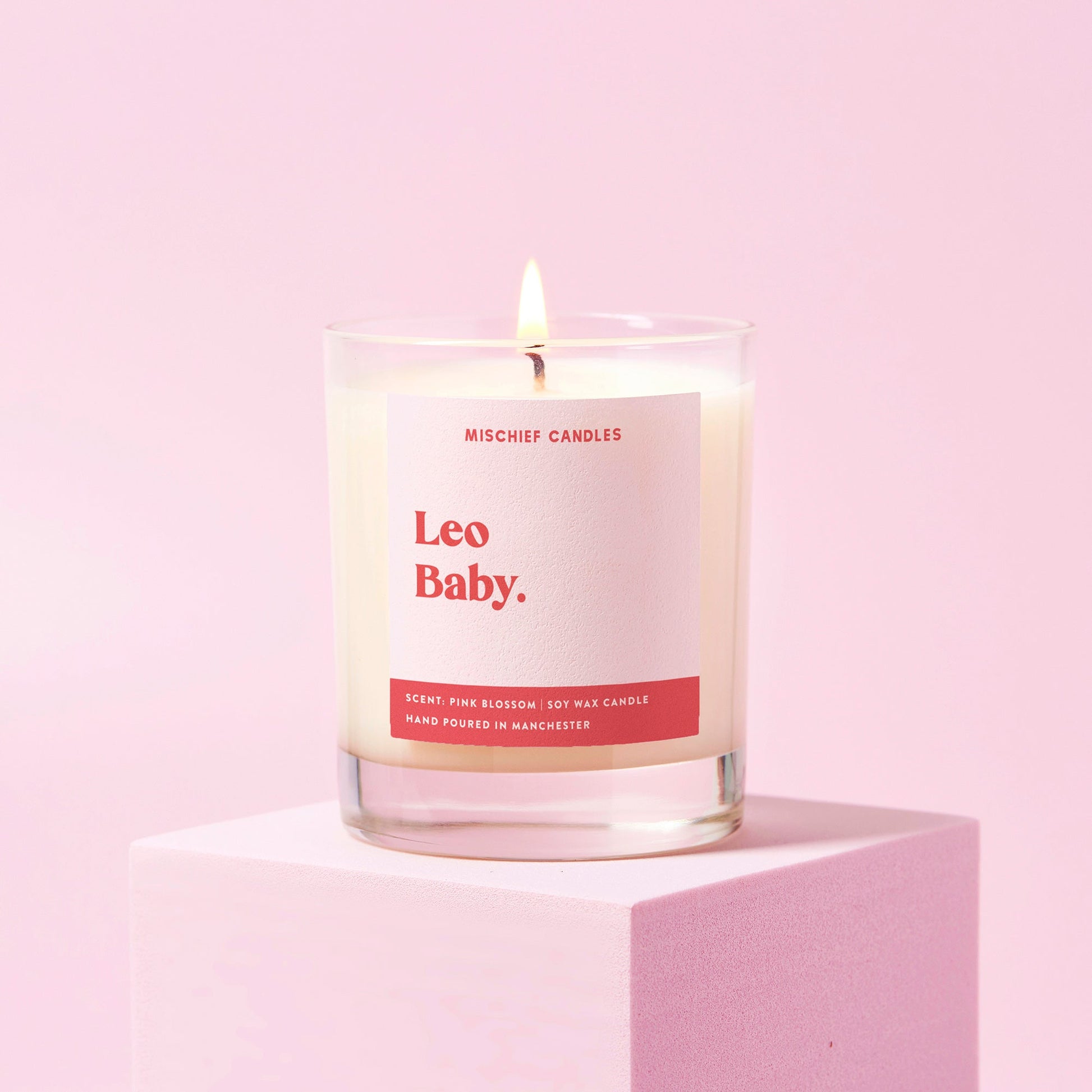 Leo Birthday Gift Funny Zodiac Birthday Candle Leo Baby