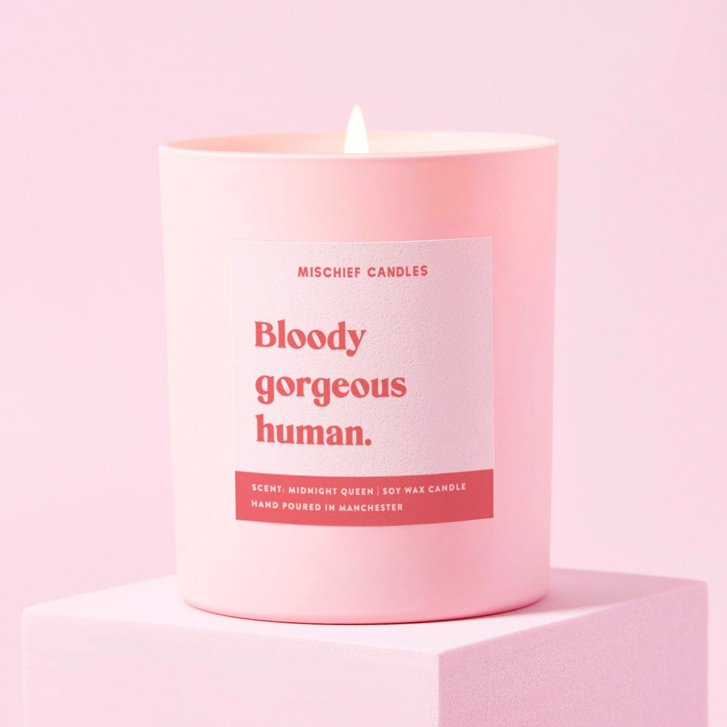 Friendship Gift Funny Gift For Her Candle Bloody Gorgeous Human