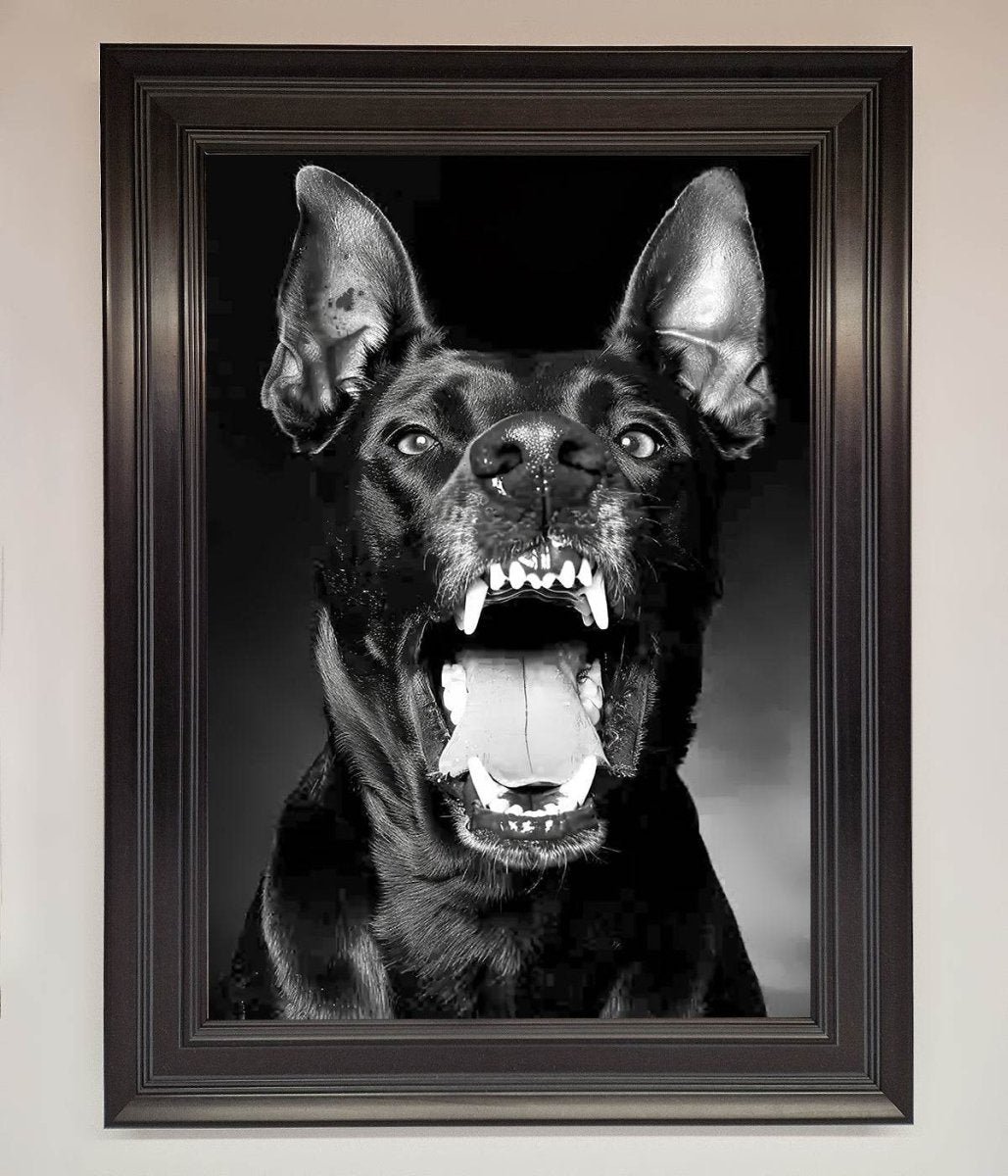 Angry Doberman Dog Framed Wall Art – Sostter, image size:1029x1200