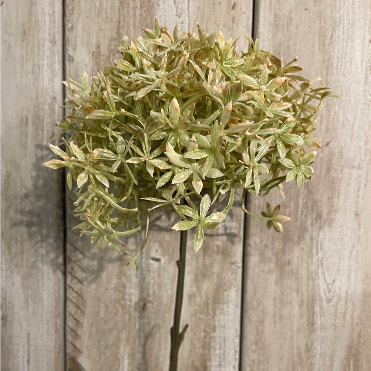 Rich coffee brown faux allium stems, 63cm tall with realistic spherical blooms for home decor by RoomLondon at brixbailey.com