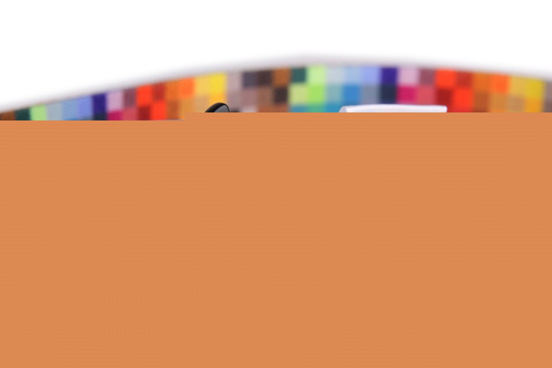 close-up of the durable metal buckle on a woven pet collar, showcasing its functional strength