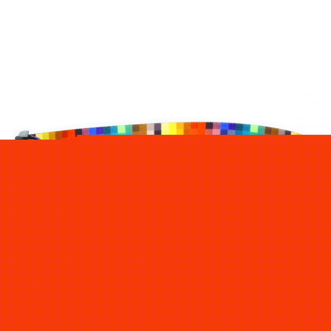 a dog modeling the durable pixels collar with its glossy metal buckle in warm morning light