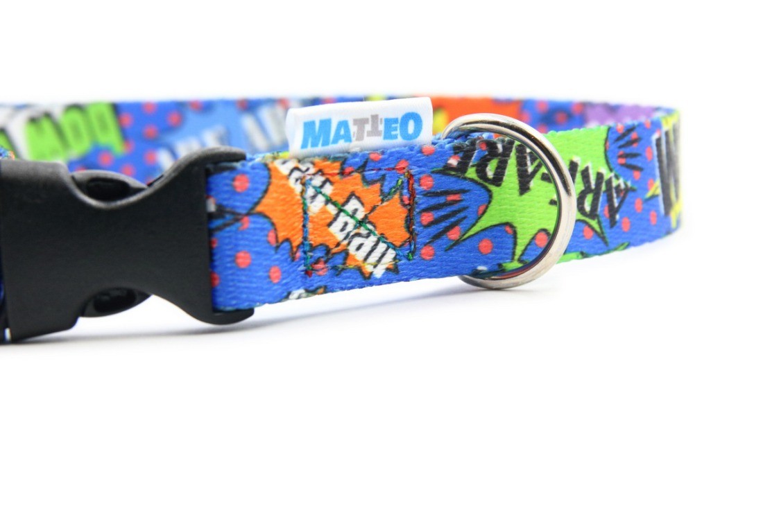 blue graffiti dog collar with plastic buckle shown on a flat surface for sizing reference