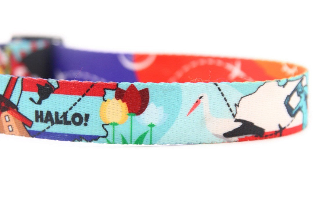 playful dog collar with airplanes and landmarks on a sunny adventure walk