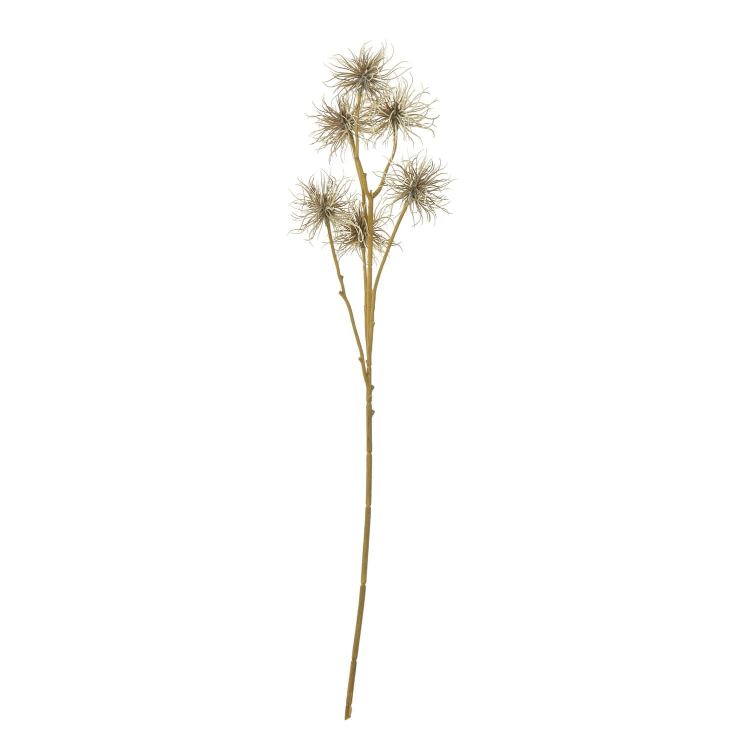 Brown xanthium spray faux floral with wispy blooms, 81 cm tall, for farmhouse or modern decor
**
- **Keywords included:** brown xanthium spray, faux floral, wispy blooms, farmhouse decor, modern decor
- **Clear description:** Visually describes the product's color, texture, and style
- **SEO & accessibility optimized:** Concise yet detailed for both search engines and screen readers by RoomLondon at brixbailey.com