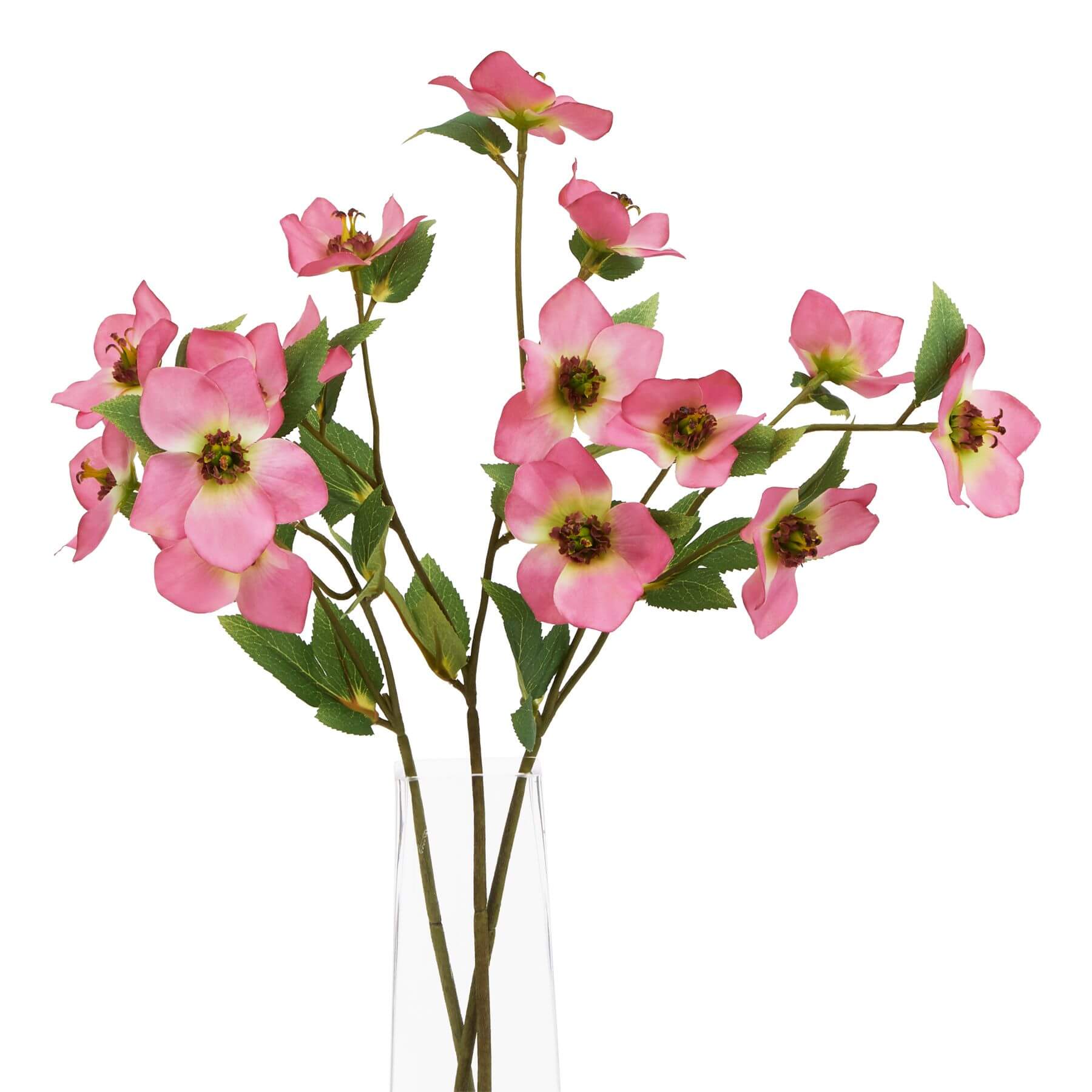 Artificial pink hellebore flower with variegated petals, 47 cm tall, plastic stem for year-round freshness.by RoomLondon at brixbailey.com