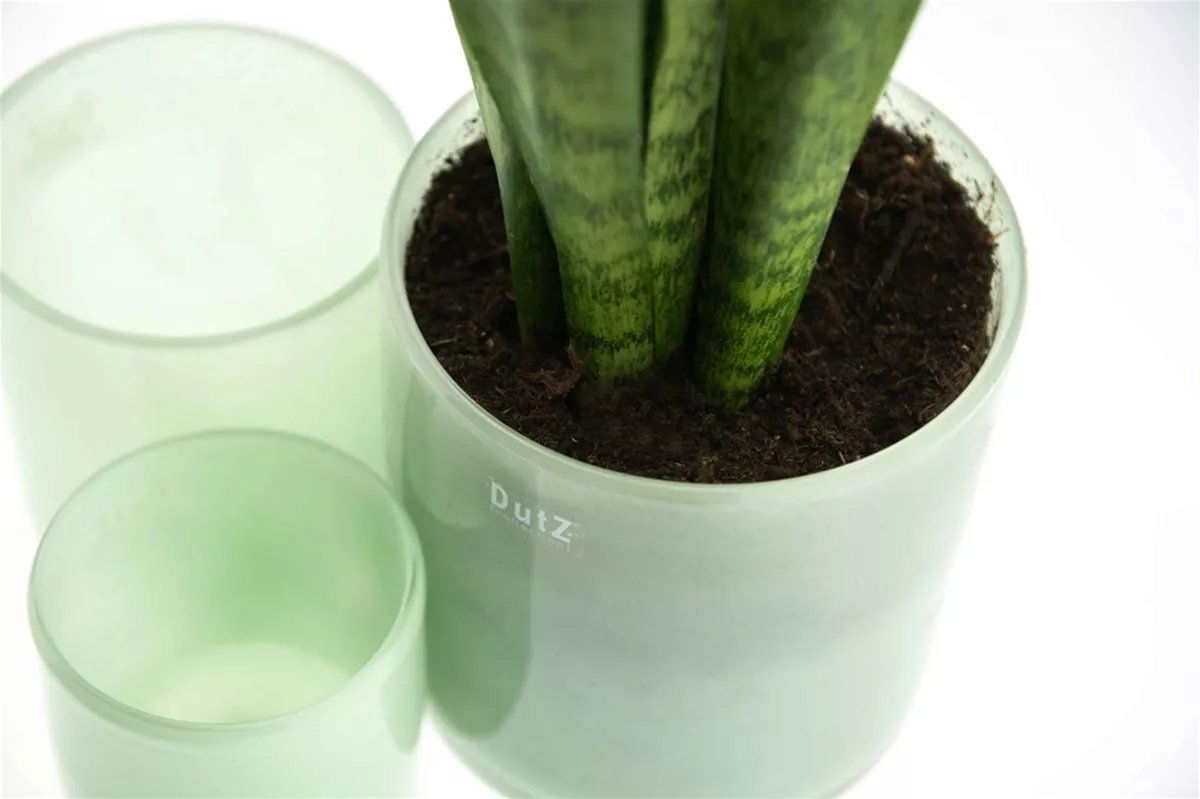 CYLINDER C1 Candle Votive -  MENTHOL