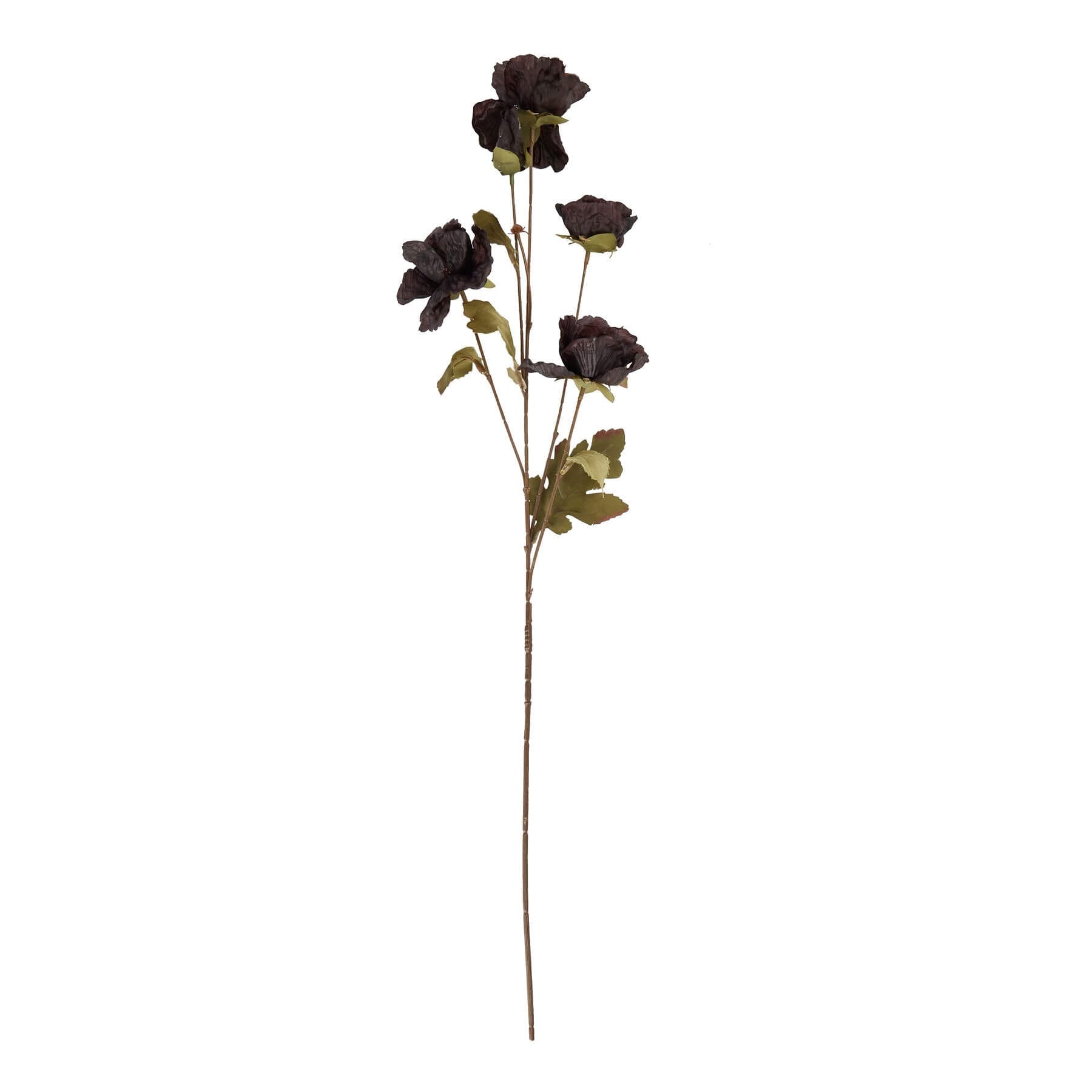 Black artificial poppy stem with dramatic ebony petals, 83cm tall, perfect for modern floral arrangements by Sostter at brixbailey.com
