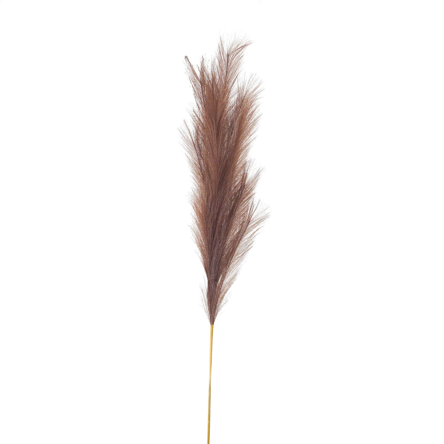 Lifelike taupe artificial pampas grass stem, 120cm tall with feathery plume, perfect for modern home decor by Sostter at brixbailey.com