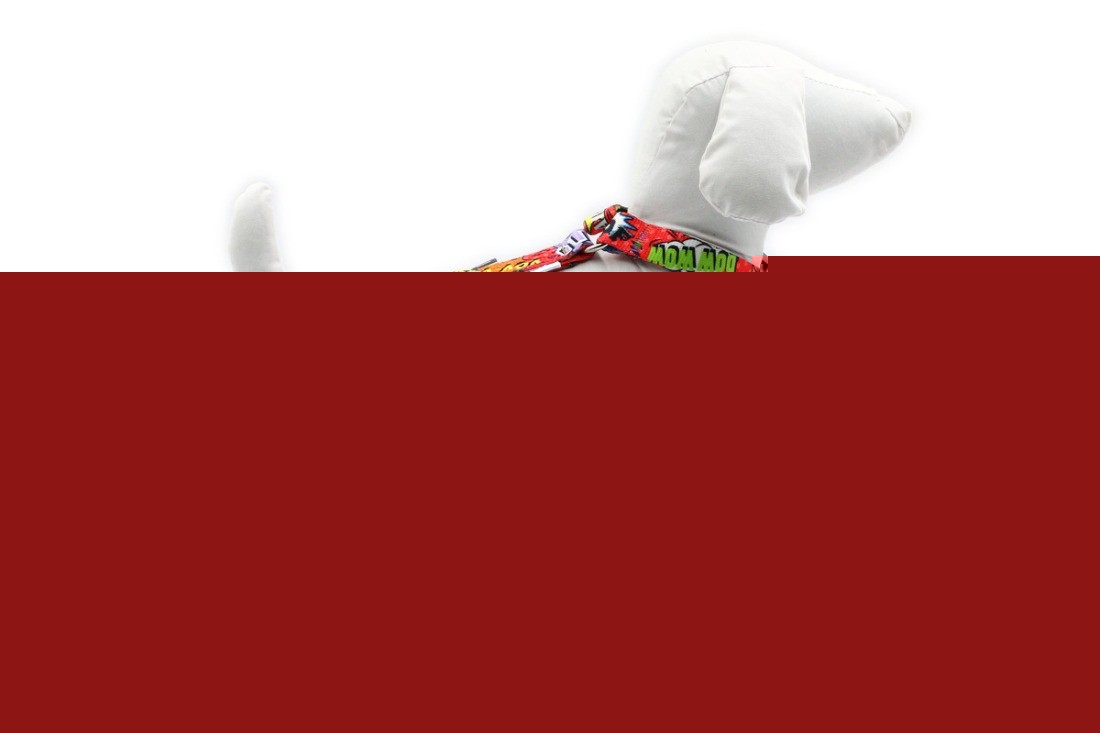 red graffiti nylon dog harness with four adjustable straps for a secure and practical fit