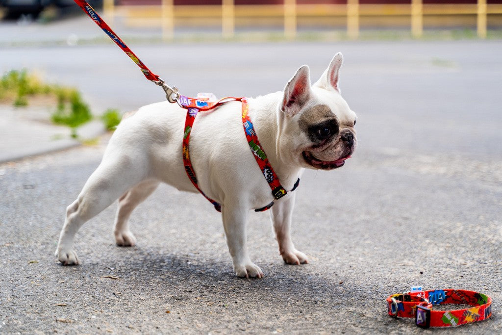 functional red graffiti dog harness with four adjustable straps for a secure fit