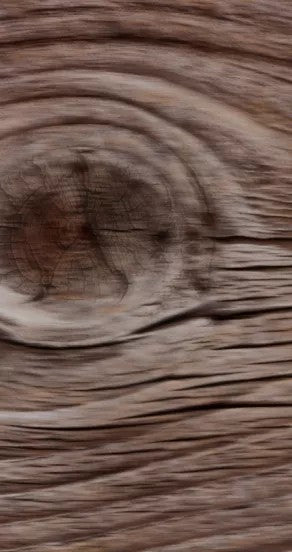 elegant gift box for ego rex perfume oil with citrus and floral notes