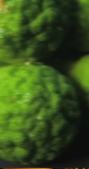 a gift for her - close-up of the nights in morocco perfume oil bottle with warm desert-toned lighting