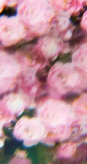 Perfume Oil - Spring Of Youth, 10ml