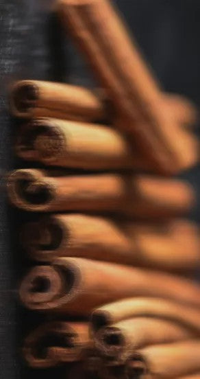 temple of sensus perfume bottle on a dark wood table with a warm amber glow