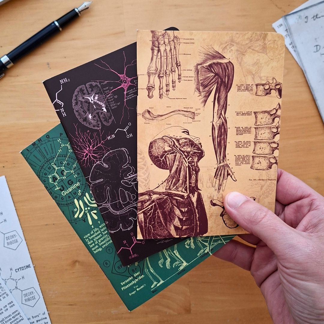 atoms-to-astronauts-handmade-science-notebooks-uk-sostter.jpg