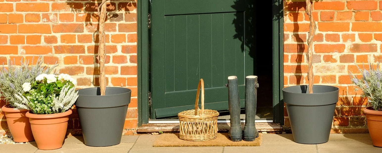 Flowers and artificial stlyish plants and trees at Sostter