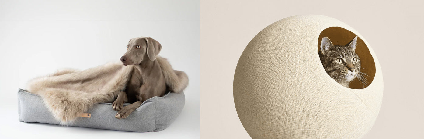 pets-gifts-independent-brands-sostter