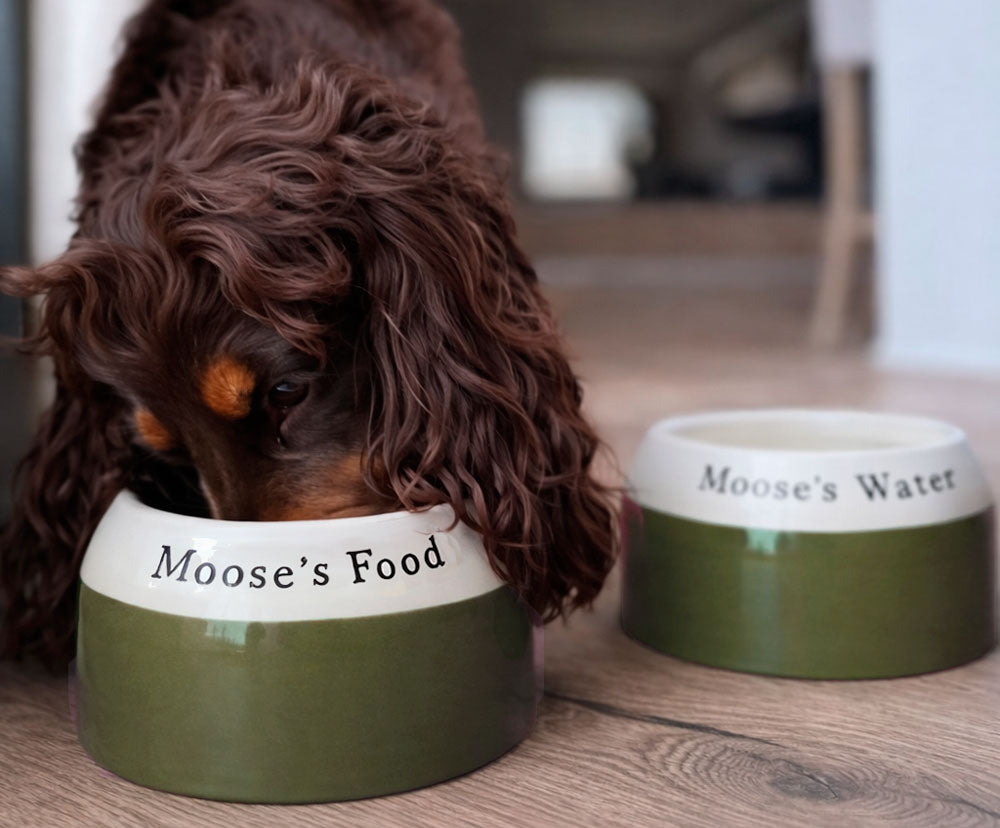 Chow Bella hand-thrown ceramic dog and cat bowls from Hampshire potter Claire - spaniel bowls a speciality, made to order at Sostter