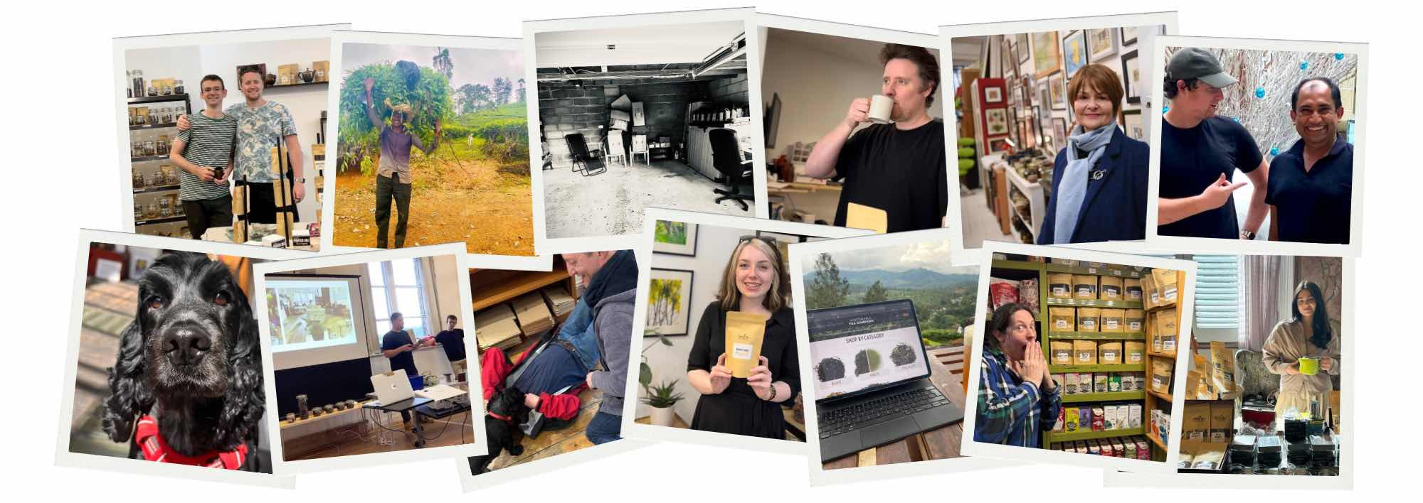 Porter Hill Tea Company luxury loose leaf teas and herbal blends — ethically sourced and hand-packed in Yorkshire, available at Sostter