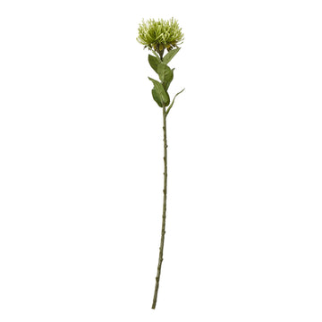 Lush green faux protea stem with hyper-realistic pom-pom blooms, 73cm tall, for elegant floral arrangements by Sostter at brixbailey.com