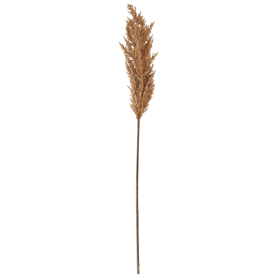 Lifelike faux pampas grass stem in soft taupe, 68cm tall, with realistic plumes for organic home decor. by Sostter at brixbailey.com