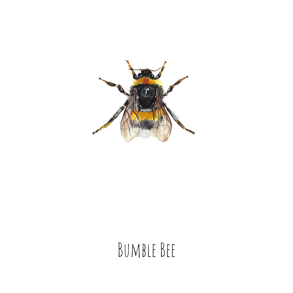 Bumble Bee Watercolour Fine Art Print