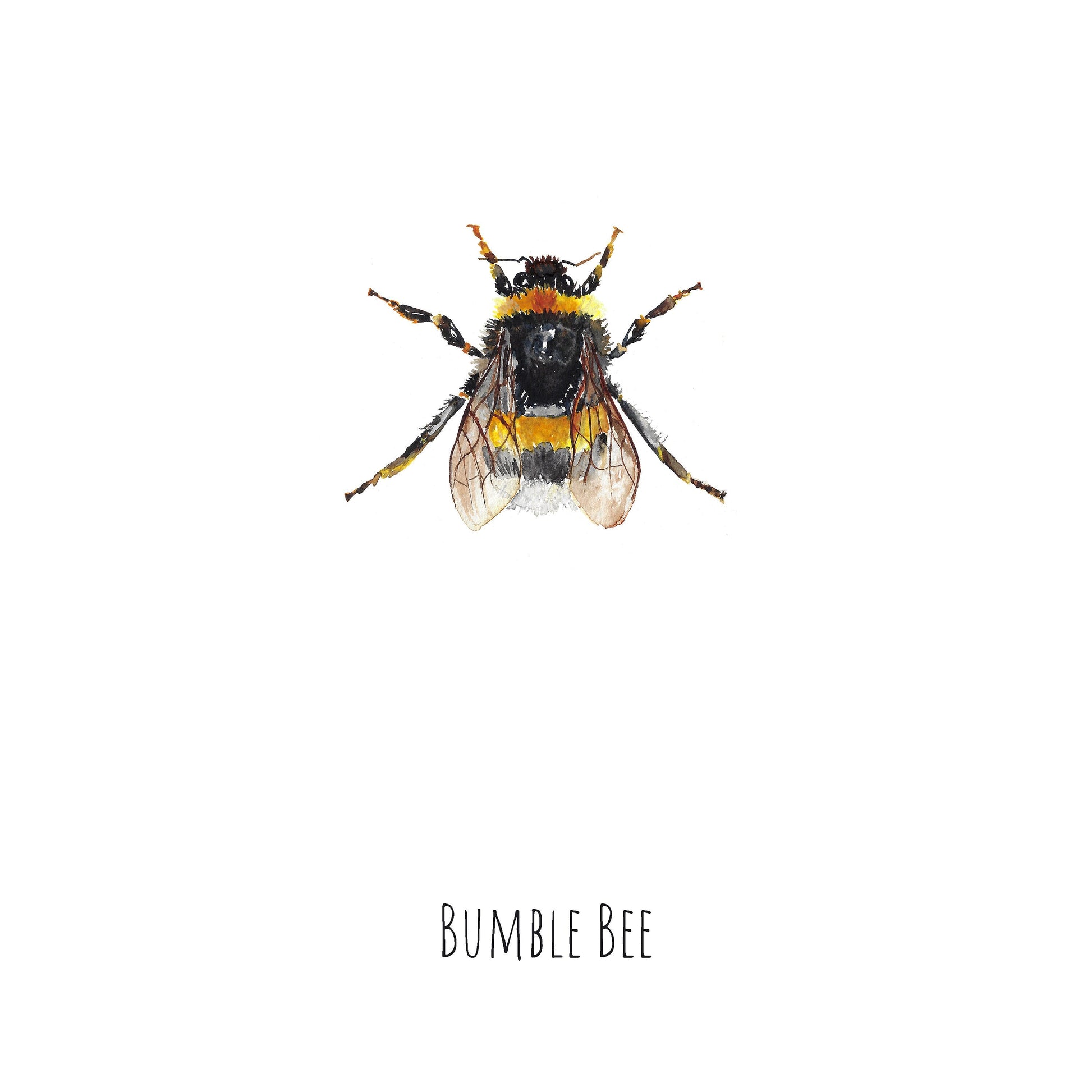 Bumble Bee Watercolour Fine Art Print