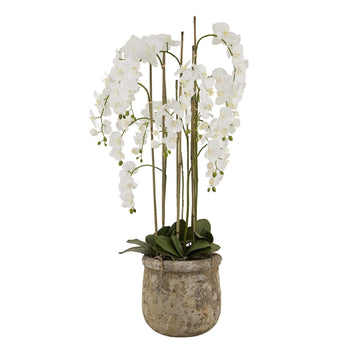 5ft white artificial orchid in distressed stone pot, lifelike blooms and green leaves, elegant home decor centerpiece by Sostter at brixbailey.com