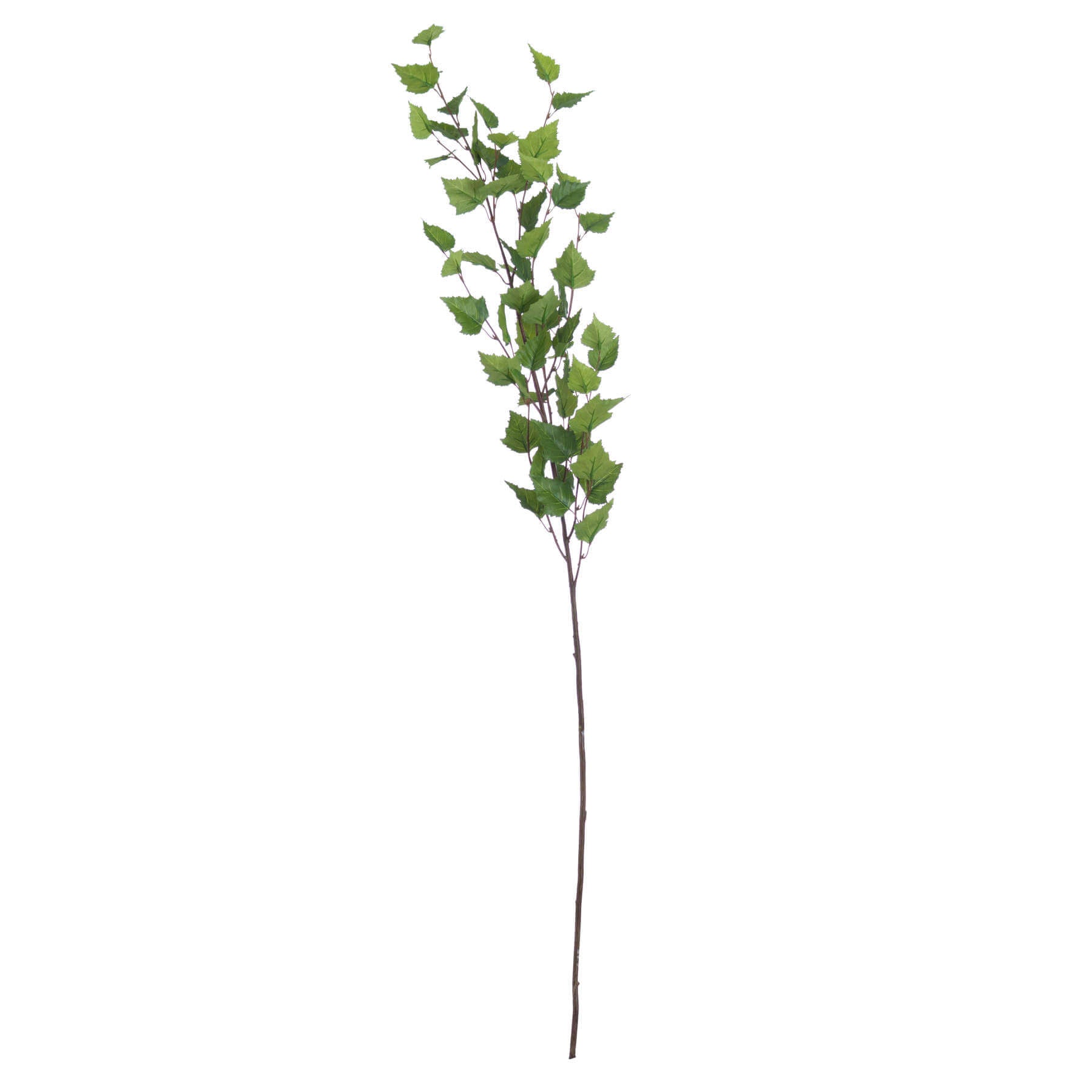 Lifelike green branch spray with lush foliage, 128cm tall, perfect for seasonal home decor in rich vibrant green. by RoomLondon at brixbailey.com