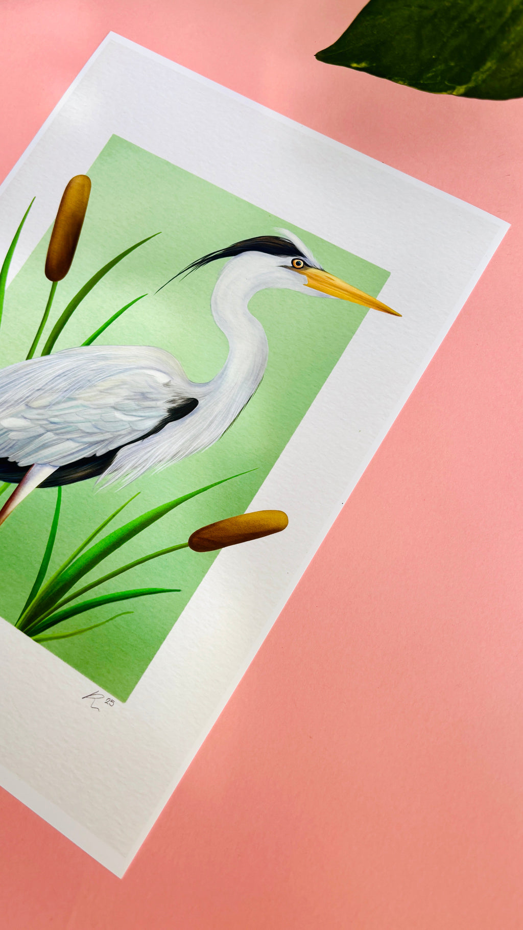 Grey Heron Wildlife Art Print –Wall Art for Nature Lovers  in Multiple Sizes