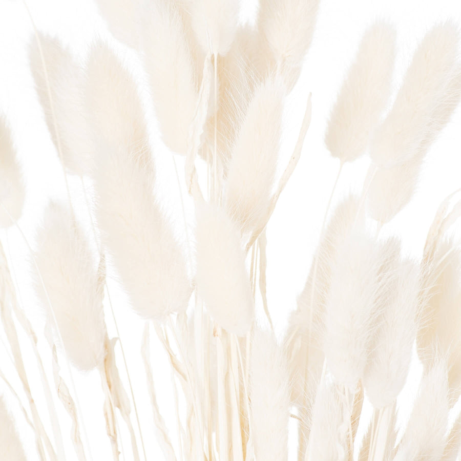 Bunny tail grass bouquet, 60 white dried Lagurus stems, soft plumes for minimalist home decor by Sostter at brixbailey.com
