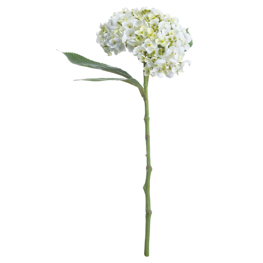 Lifelike white lace cap hydrangea stem with clustered florets, UV-resistant plastic, 48cm height, perfect for year-round arrangements by Sostter at brixbailey.com