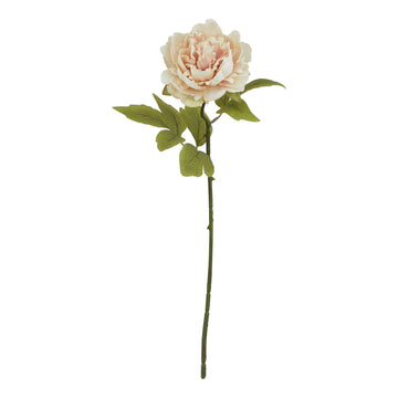 Blush pink faux peony stem with lifelike petals and foliage, 52cm tall, perfect for home decor. by Sostter at brixbailey.com