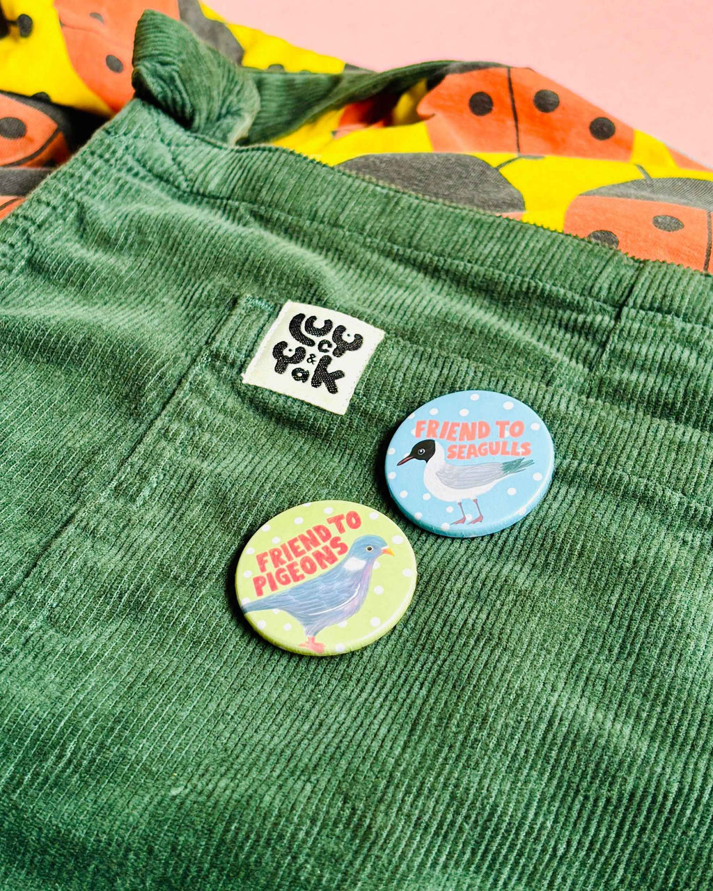 Friend to Seagulls 38mm Badge/Magnet