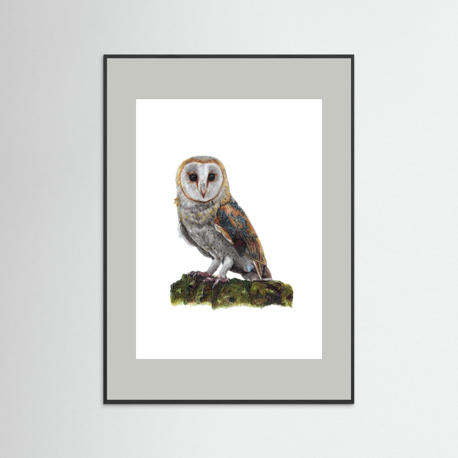 Barn Owl Art Print Wildlife Wall Art for Nature Lovers