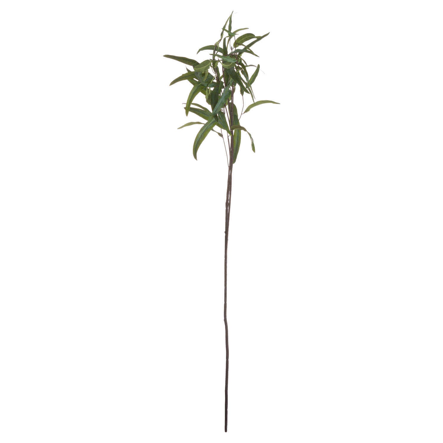 Lifelike artificial willow eucalyptus spray with dark green foliage, 50-inch stems for home decor by Sostter at brixbailey.com