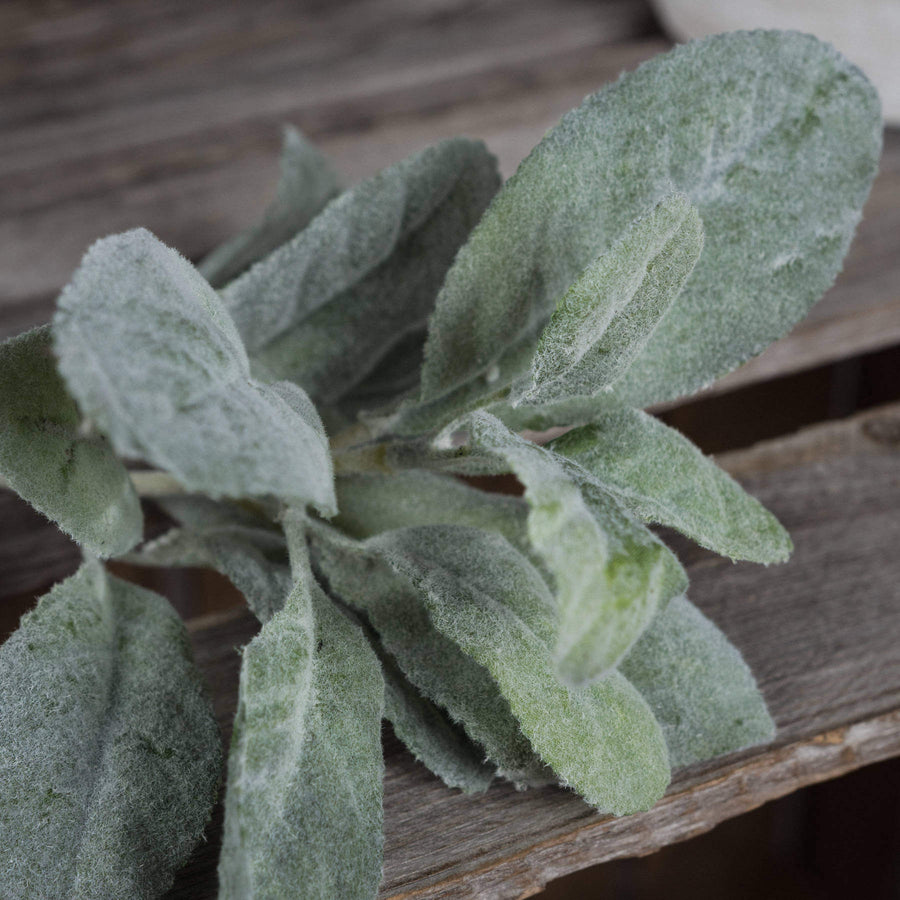 Lifelike sage green artificial foliage stem with velvety leaves for home decor, 35cm tall, bendable wire stems by Sostter at brixbailey.com
