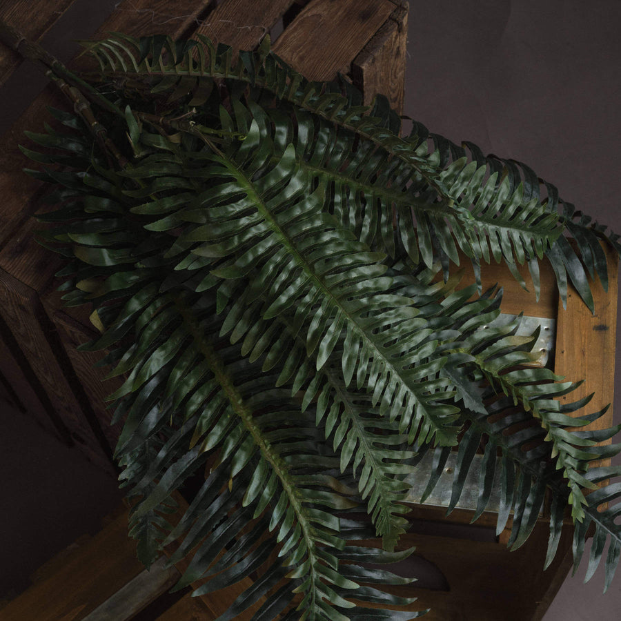 Lifelike artificial fern bunch with cascading green foliage, UV-resistant plastic fronds, and natural movement - 60cm tall by Sostter at brixbailey.com