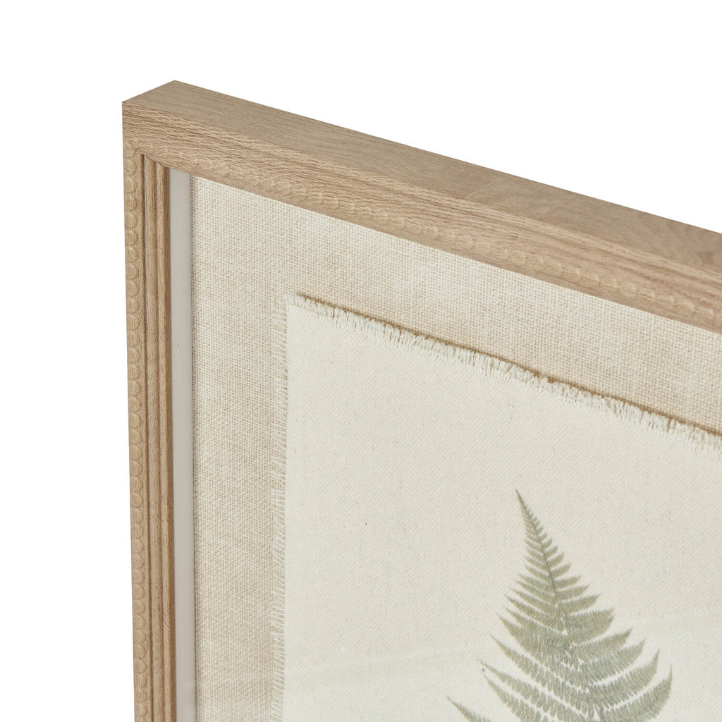 Handcrafted framed fern artwork with preserved bracken, white beaded frame, and textured background, 50x40cm. by RoomLondon at brixbailey.com